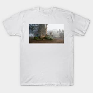 Misty Morning Willunga Hill by South Australian artist Avril Thomas T-Shirt